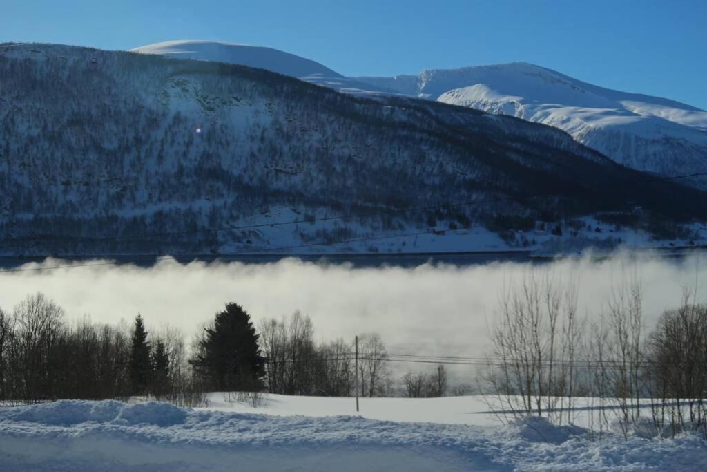 New Magnificent View Apartment Near The Centre Tromsø Extérieur photo